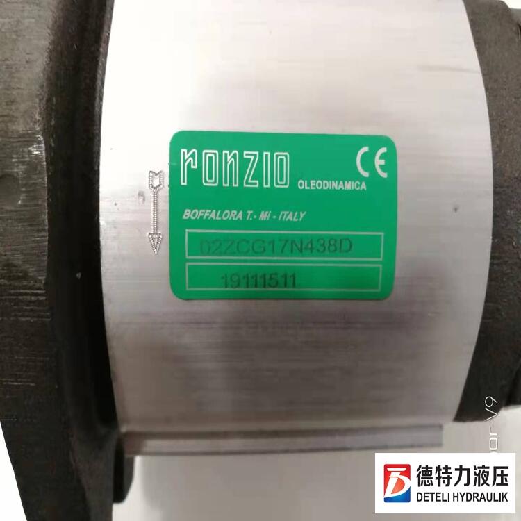 意大利ronzio雙聯(lián)泵